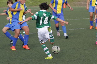 PG Soft Gaming-阿尔艾因球员训练强度加大，力求最佳竞技状态